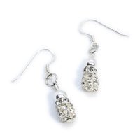 Thumbnail for Sterling Silver Crystal Drop Hook Earrings